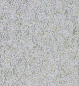 AE-2小鼠雜交瘤細胞(抗AChE)主圖