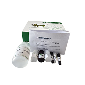 Ca2+&mdash;ATP酶試劑盒分光法/24樣主圖