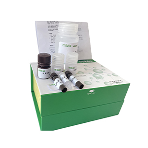 半乳糖(D-Galactose)含量試劑盒(紫外法)微板法/48樣主圖