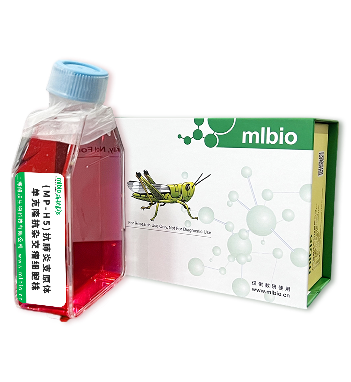 (MP-H5)抗肺炎支原體單克隆抗雜交瘤細胞株主圖