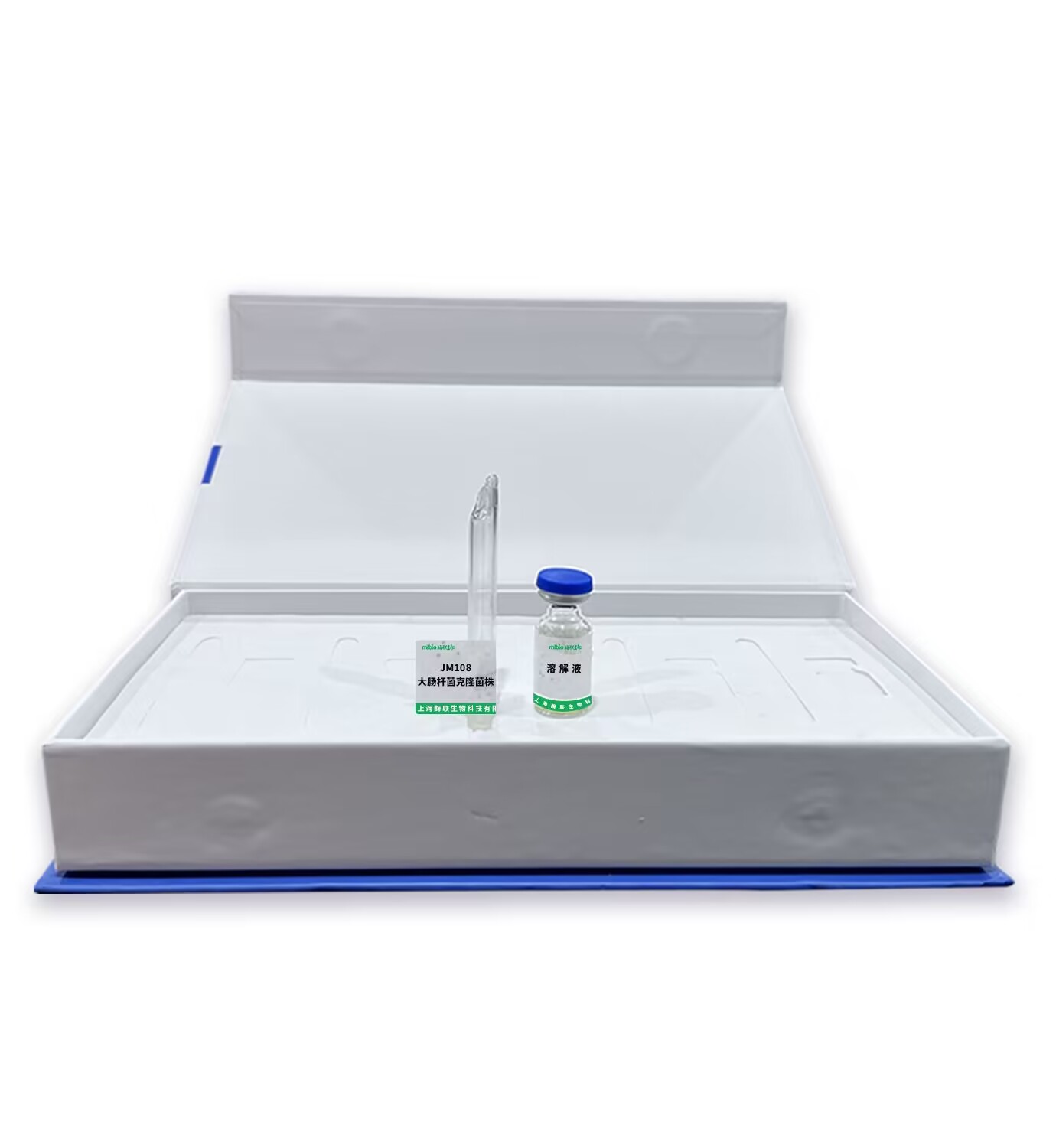 JM108大腸桿菌克隆菌株主圖