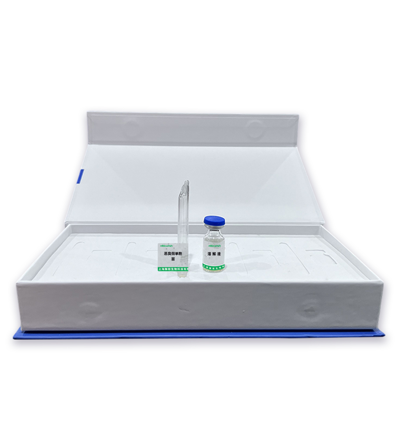 惡臭假單胞菌主圖