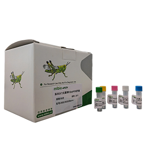 無(wú)色桿菌屬探針法qPCR試劑盒(不含內(nèi)參)主圖