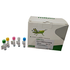 禽戊型肝炎病毒探針法qRT-PCR試劑盒(不含內參)主圖