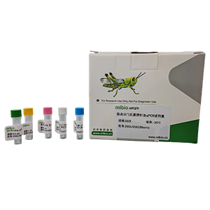 草魚呼腸孤病毒探針法qRT-PCR試劑盒(不含內參)主圖