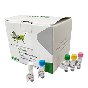 河流弧菌2型探針法qPCR試劑盒(不含內(nèi)參)主圖