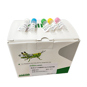 人腺病毒B77型探針法qPCR試劑盒(不含內(nèi)參)主圖