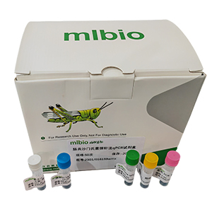 GMO外源dsRed2基因探針法qPCR試劑盒(不含內參)主圖