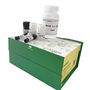 細(xì)胞總鐵含量試劑盒48樣主圖