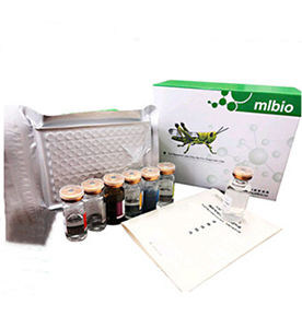 人緊密連接蛋白1(ZO1)ELISA試劑盒主圖