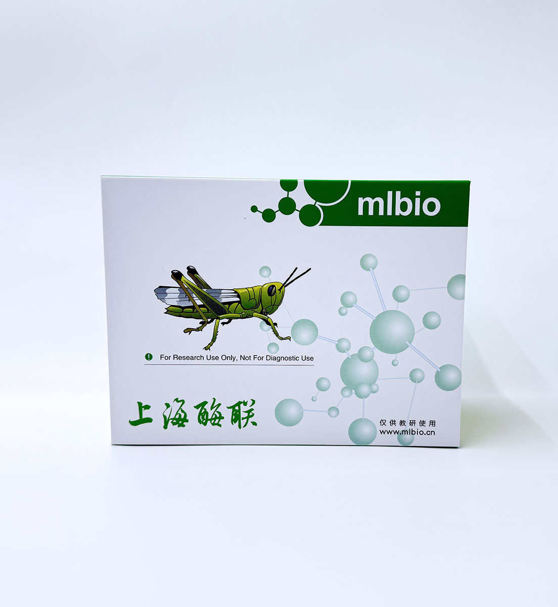 雌二醇(E2)競爭法試劑盒   主圖