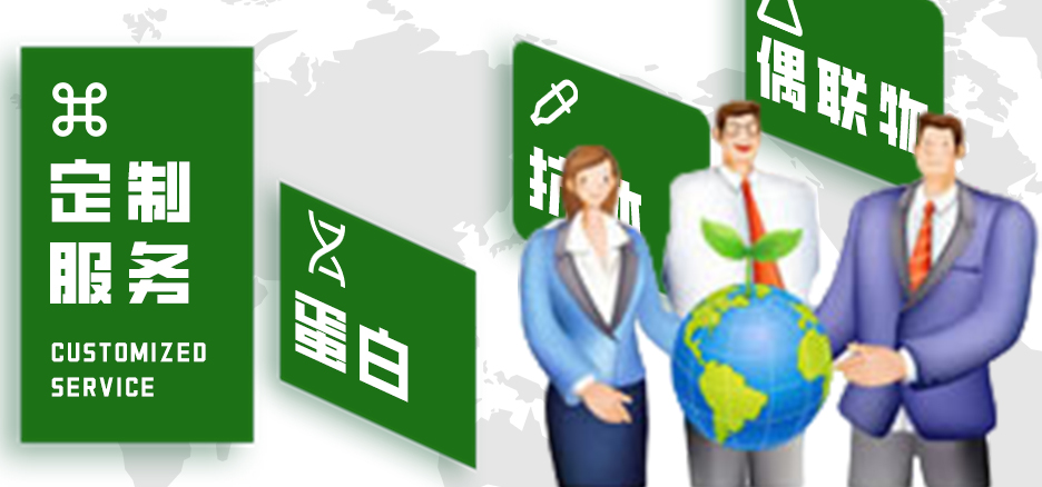 定制服務，蛋白，抗體，偶聯物